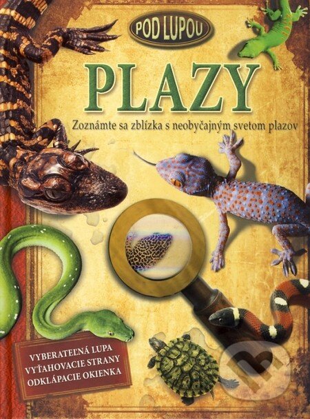 Plazy