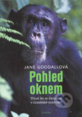 Pohled oknem