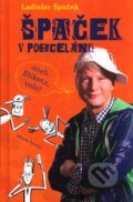 Špaček v porcelánu