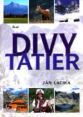 Divy Tatier