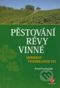 P�stov�n� r�vy vinn�