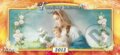 Katol�cky kalend�r 2012