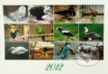 Vt�ky 2012 - N�stenn� kalend�r