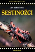�estino�ci