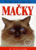 Mačky