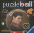 Puzzleball Twilight - Jacob
