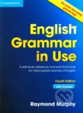 English Grammar in Use 4th Edition