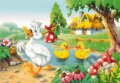 �kared� k��atko