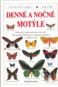 Denn� a no�n� mot�le