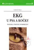 EKG u psa a kočky