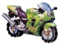 Kawasaki Ninja