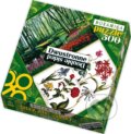 Z�hrady Keukenhof, Holandsko