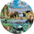 Fauna (okr�hle)