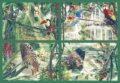 Tropick� poh�ady