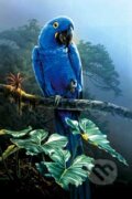 Tropick� papag�j