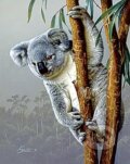 Mlad� koala
