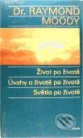 Život po životě, Úvahy o životě po životě, Světlo po životě