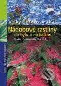 Nádobové rastliny do bytu a na balkón - Veľký obrazový atlas