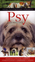 Psy