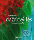Dažďový les