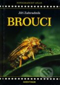 Brouci