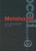 Metalurgie oceli na odlitky