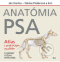 Anatómia psa