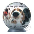 Puzzleball - Pes