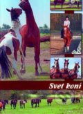 Svet kon�