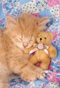 Kitty & the Bear