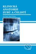 Klinická anatomie zubů a čelistí
