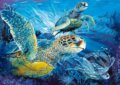 Morsk� korytna�ky