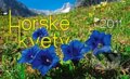 Horsk� kvety 2011