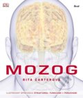 Mozog