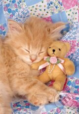Kitty & the Bear