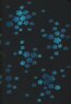 Paperblanks - Ice Bloom - MINI - linajkov�