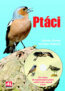 Pt�ci + CD