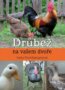 Dr�be� na va�em dvo�e