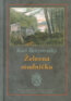 Železná studnička