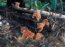 �tok ml��at