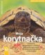 Moja korytna�ka a ja