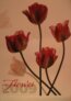 Flower art 2009