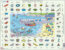 Learning English Puzzle 3