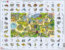 Learning English Puzzle 5