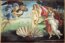 Botticelli, Zrodenie Venu�e