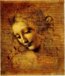 Leonardo, Viso di giovane fanciulla