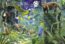 Azthec forest