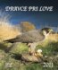 Dravce pri love 2011